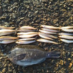 キス狙いでまさかのグレ